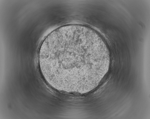 X0000112421367200909251507