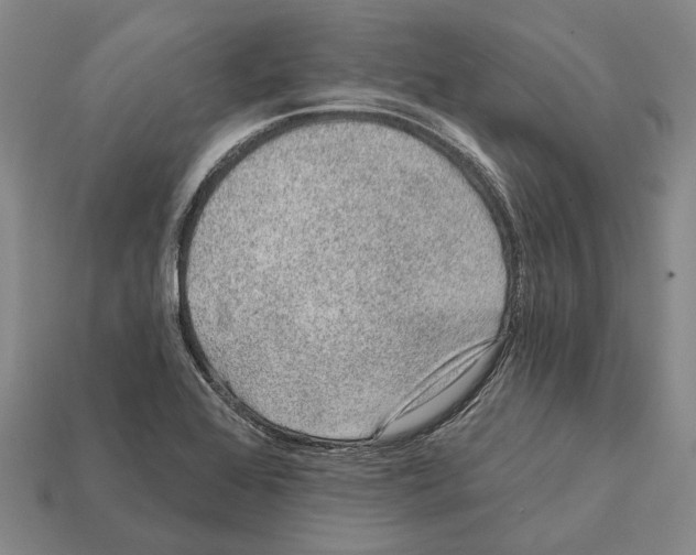 X0000112421368200909251507