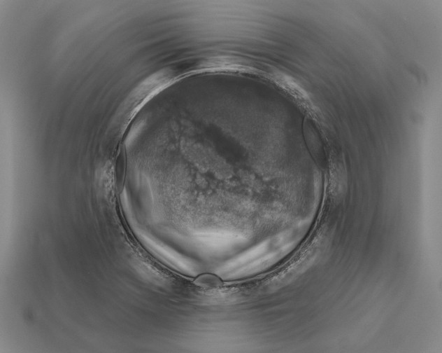 X0000112421369200909251507