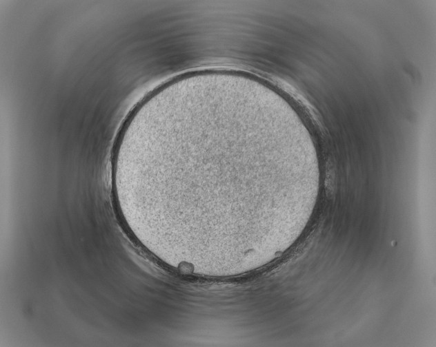 X0000112421372200909251507