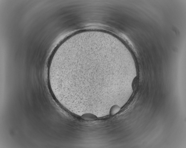 X0000112421376200909251507