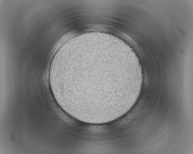 X0000112421378200909251507