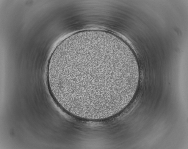 X0000112421379200909251507