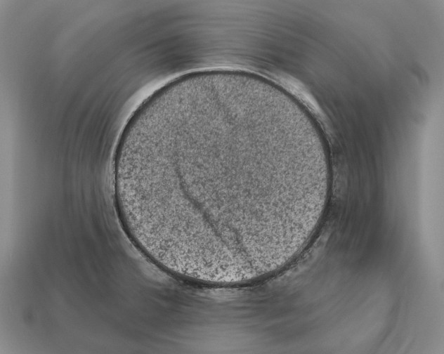 X0000112421380200909251507