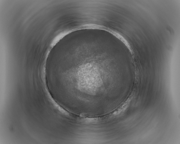 X0000112421381200909251507