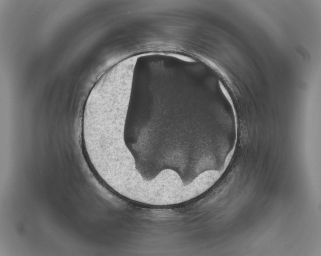 X0000112421383200909251507