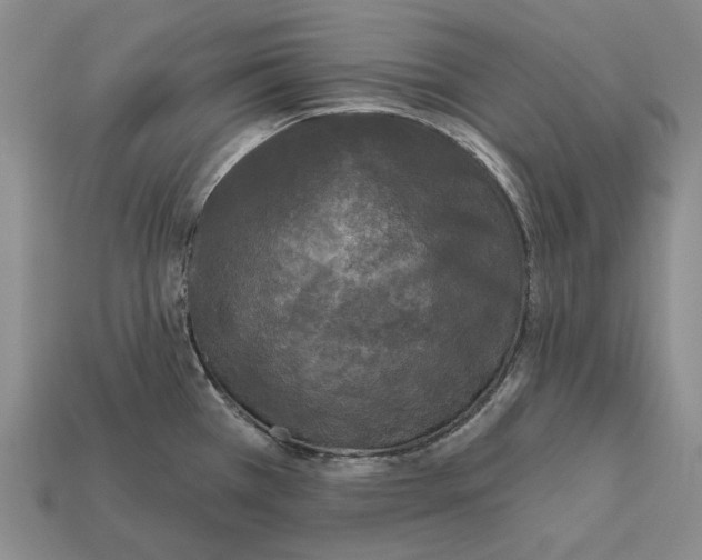 X0000112421385200909251507