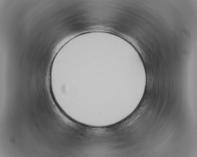 X0000112421387200909251507