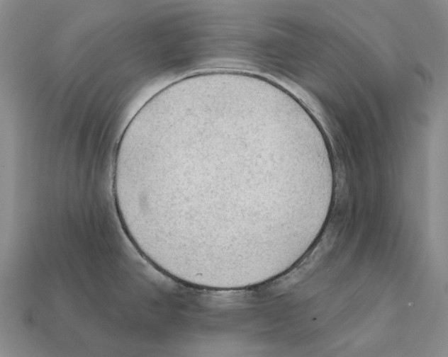 X0000112421390200909251507