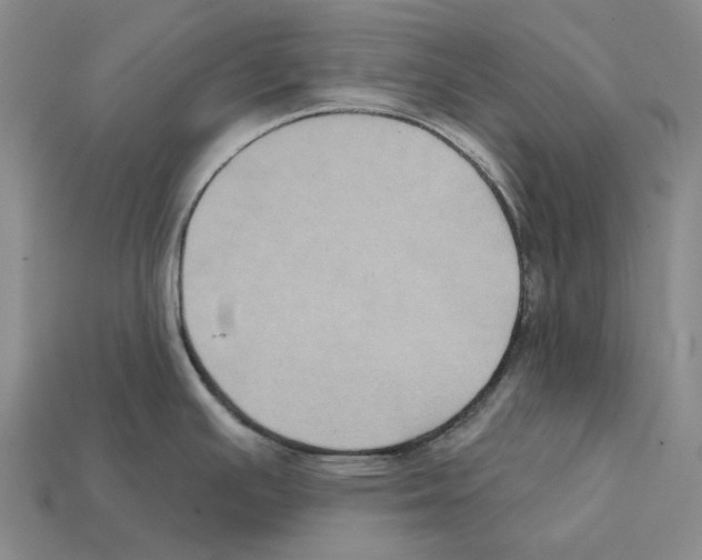 X0000112421391200909251507