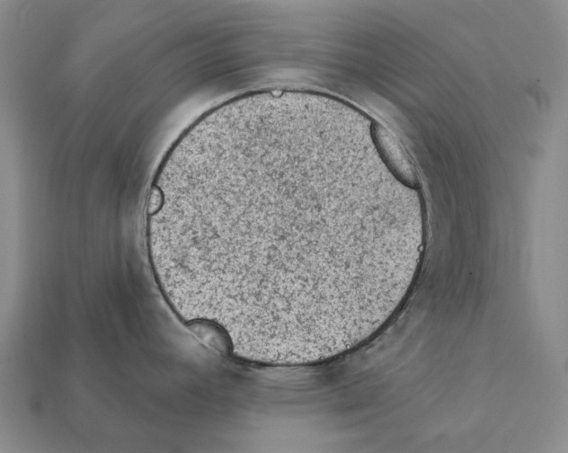 X0000112421392200909251507