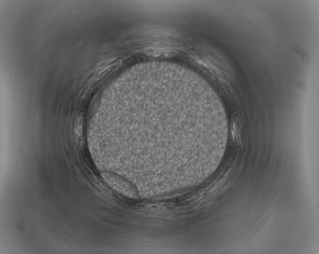 X0000112421396200909251506