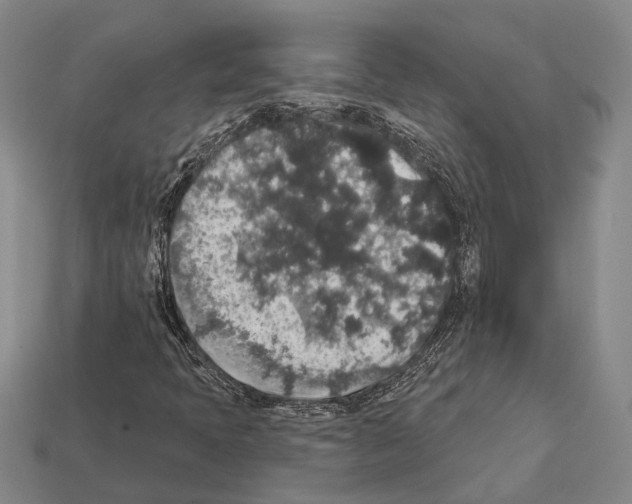 X0000112421397200909251506