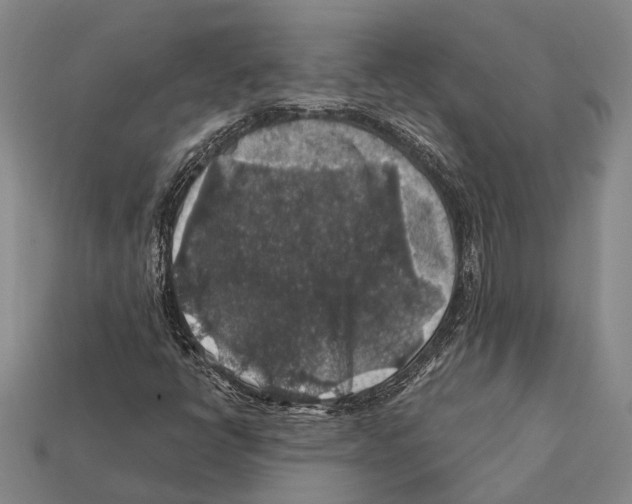 X0000112421398200909251506