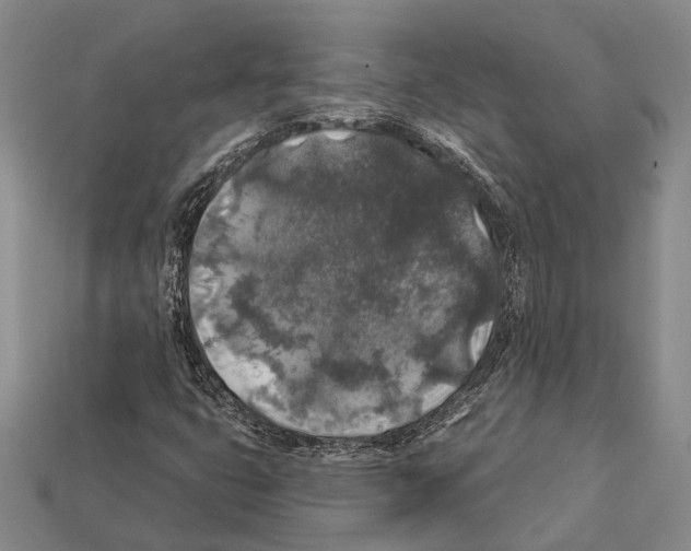 X0000112421399200909251506