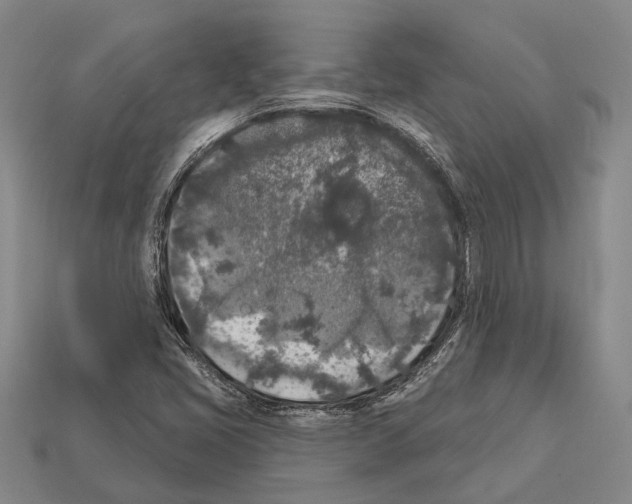 X0000112421405200909251507