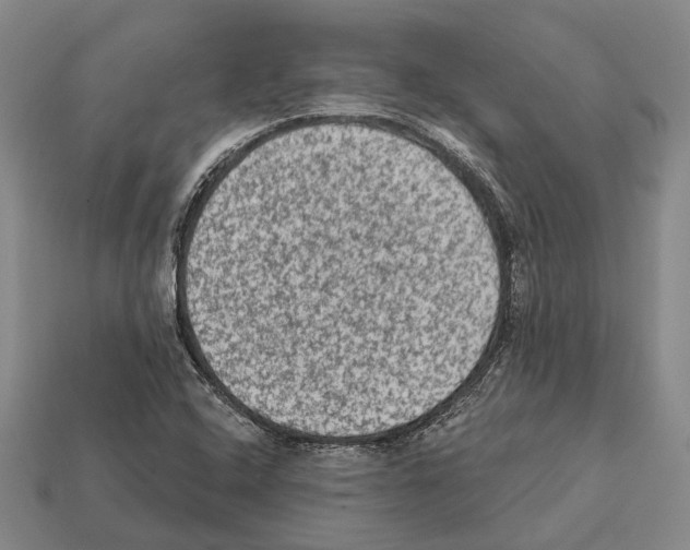 X0000112421408200909251507