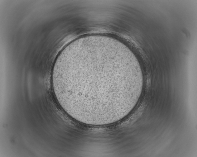 X0000112421409200909251507