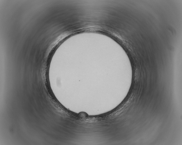 X0000112421410200909251507