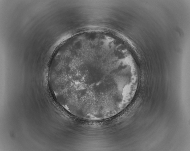 X0000112421411200909251507