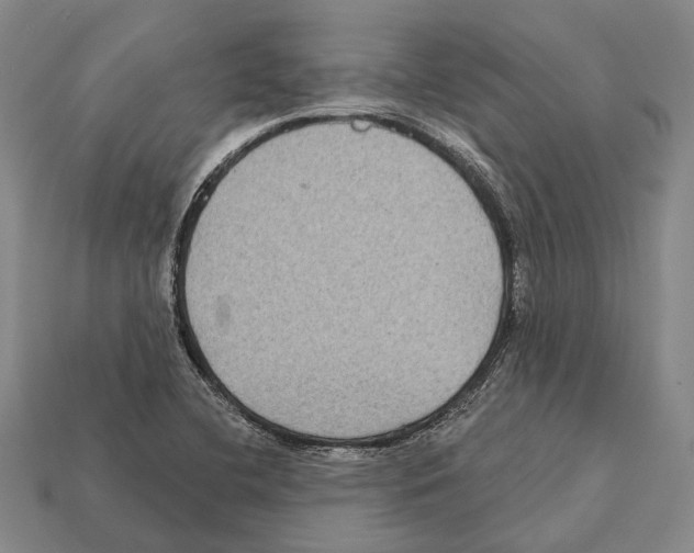 X0000112421412200909251507