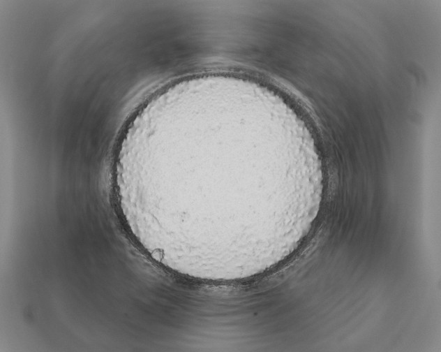 X0000112421415200909251507