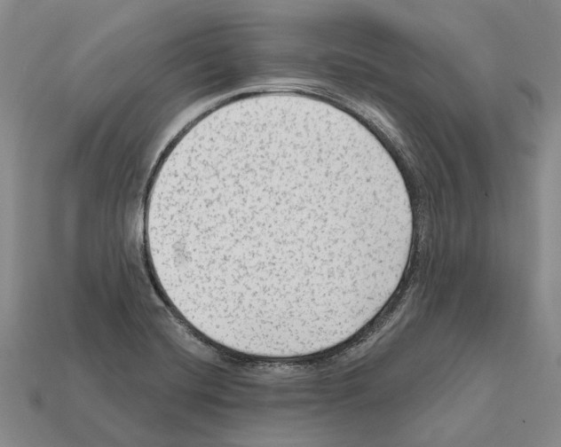 X0000112421420200909251507