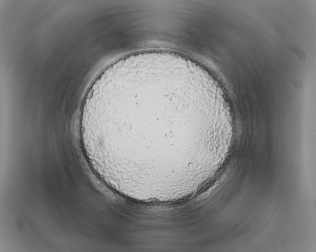 X0000112421421200909251507