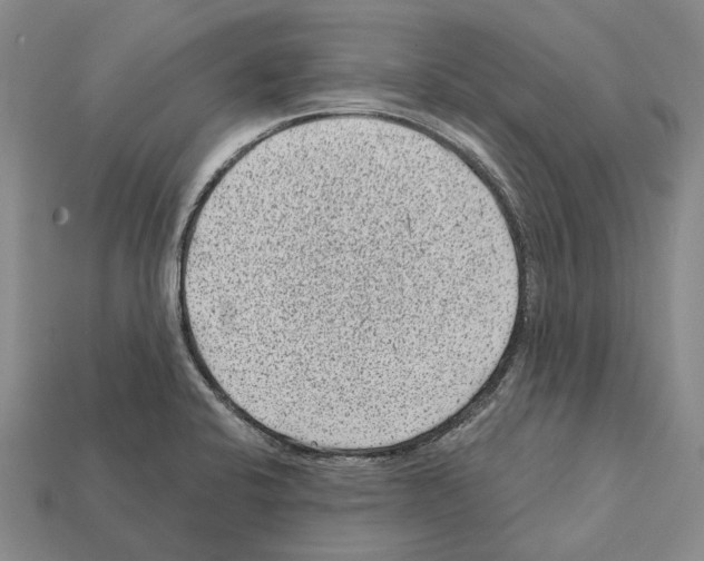 X0000112421424200909251507