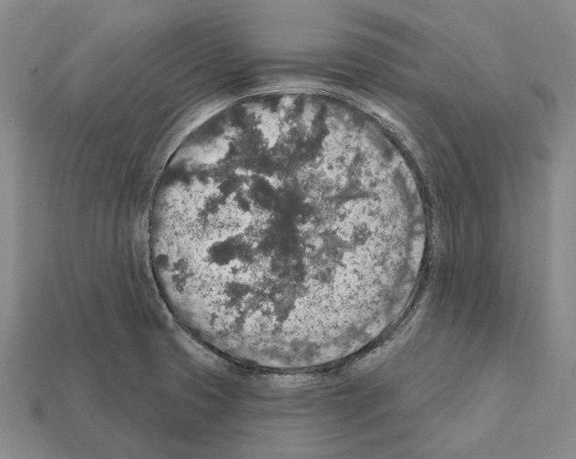 X0000112421425200909251507