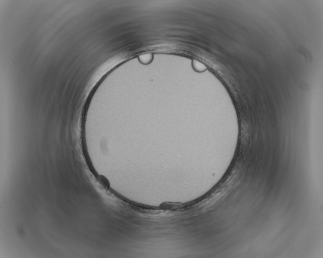 X0000112421426200909251507