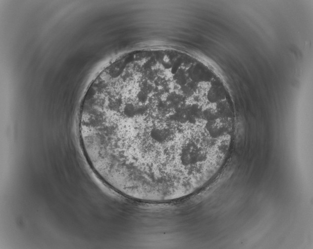 X0000112421429200909251507