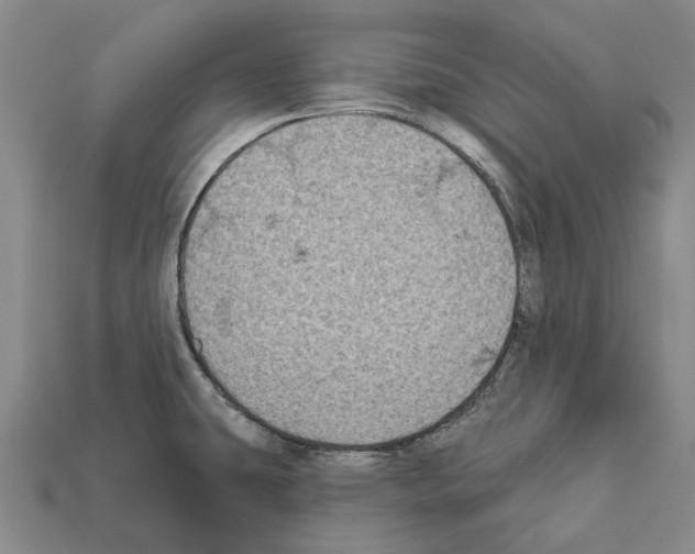 X0000112421431200909251507