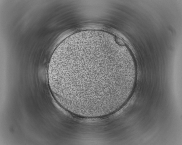 X0000112421433200909251507