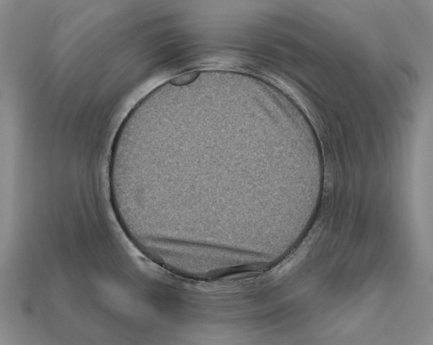 X0000112421434200909251507