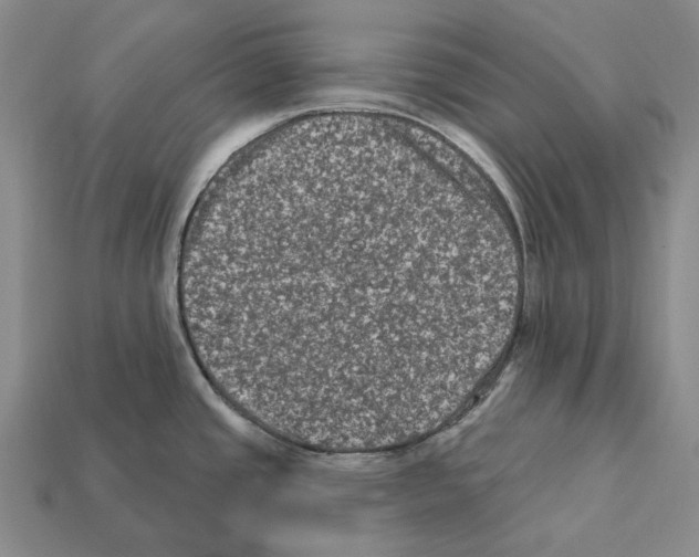 X0000112421437200909251507