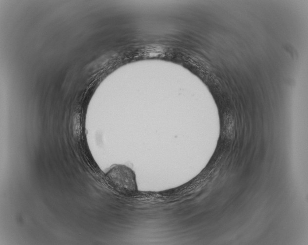 X0000112421442200909251506