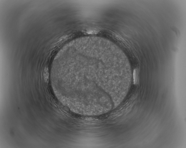 X0000112421443200909251506