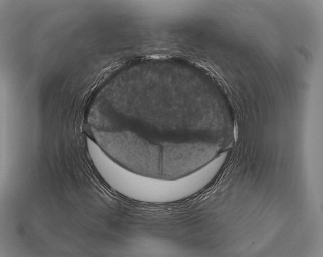 X0000112421444200909251506