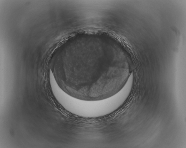 X0000112421445200909251506