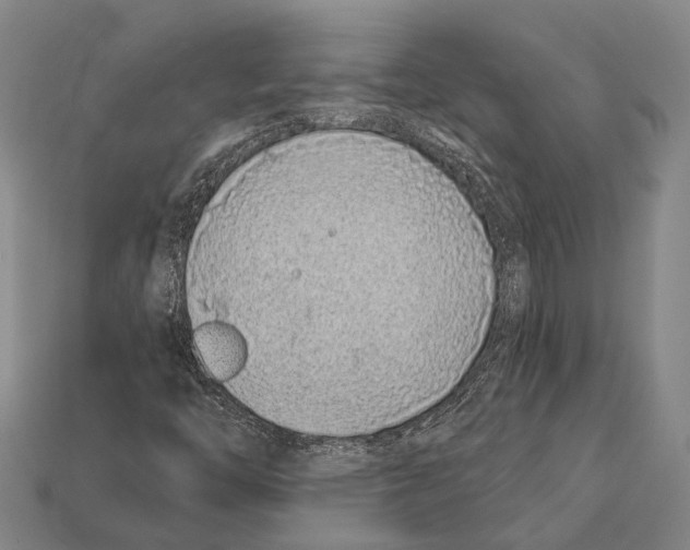 X0000112421446200909251506