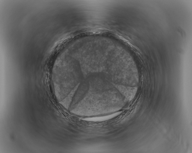 X0000112421447200909251506