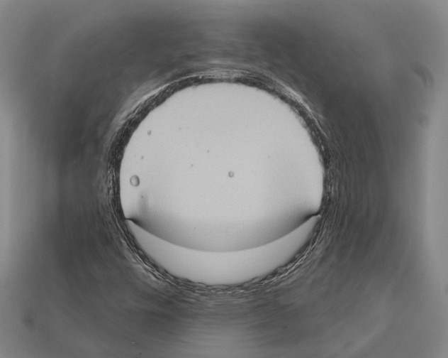 X0000112421448200909251506