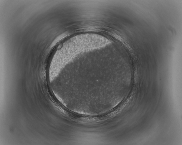 X0000112421450200909251506