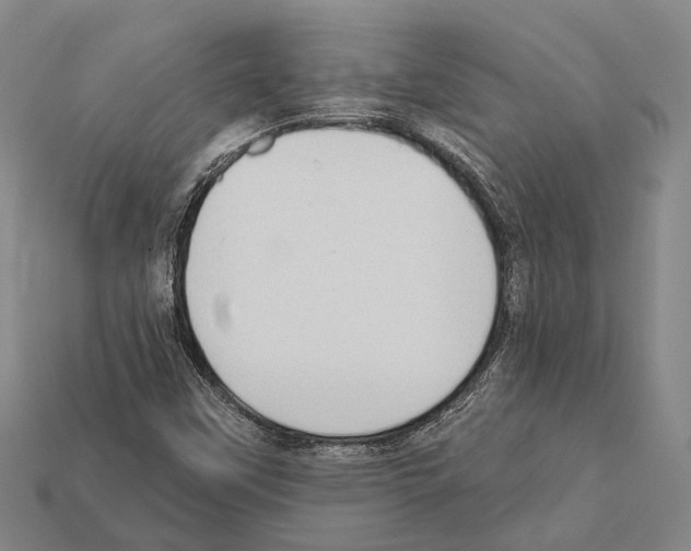 X0000112421451200909251506