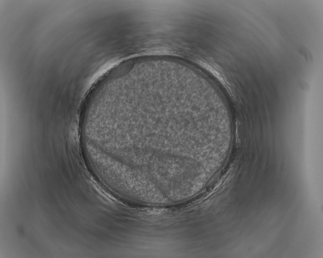 X0000112421452200909251506