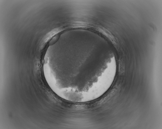 X0000112421453200909251506