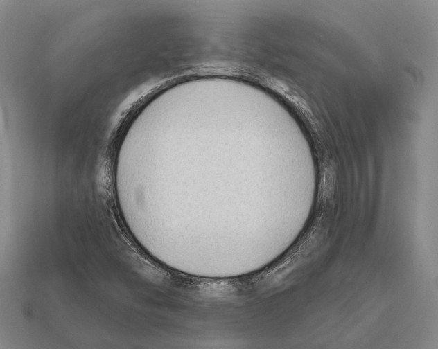 X0000112421454200909251506