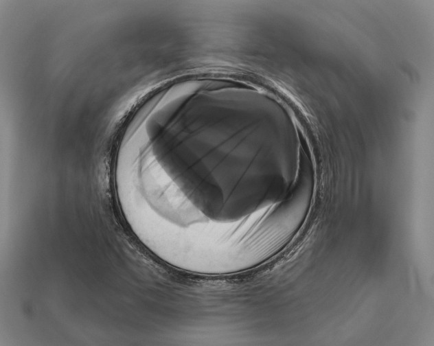 X0000112421455200909251506