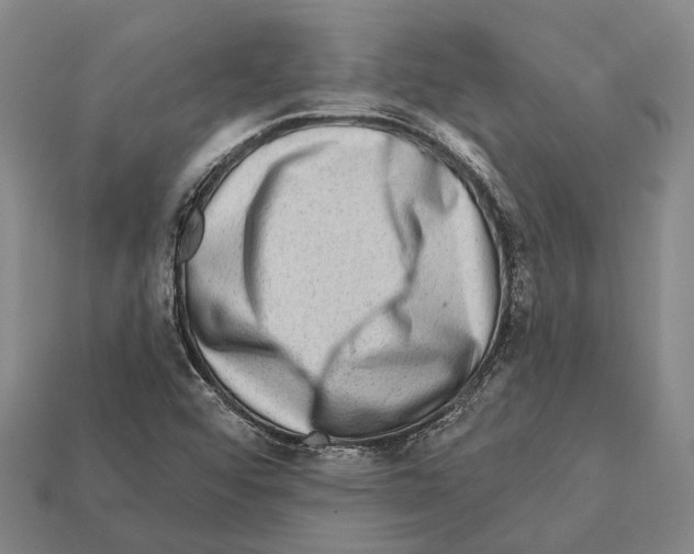 X0000112421456200909251506